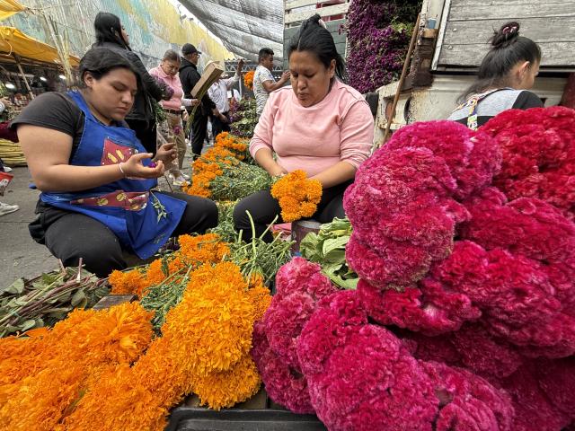 (261024) -- MEXICO CITY, Oct. 24, 2026 (Xinhua) -- This photo taken with a mobile phone shows vendors selling flowers ahead of the traditional Day of the Dead celebrations at a market in Mexico City, Mexico, Oct. 24, 2026. (Xinhua/Wu Wei)