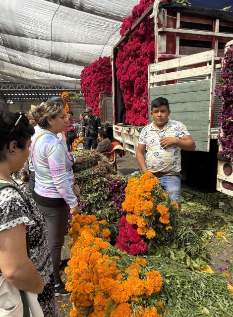 (261024) -- MEXICO CITY, Oct. 24, 2026 (Xinhua) -- This photo taken with a mobile phone shows vendors selling flowers ahead of the traditional Day of the Dead celebrations at a market in Mexico City, Mexico, Oct. 24, 2026. (Xinhua/Wu Wei)