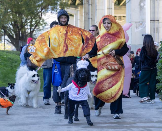 (261025) -- TORONTO, Oct. 25, 2026 (Xinhua) -- A dog and its owners take part in "Howl'oween at the Bentway," a dog-and-owner costume contest, in Toronto, Canada, on Oct. 24, 2026. The annual event was held here on Saturday, bringing Halloween fun for dogs and their owners. (Photo by Zou Zheng/Xinhua)