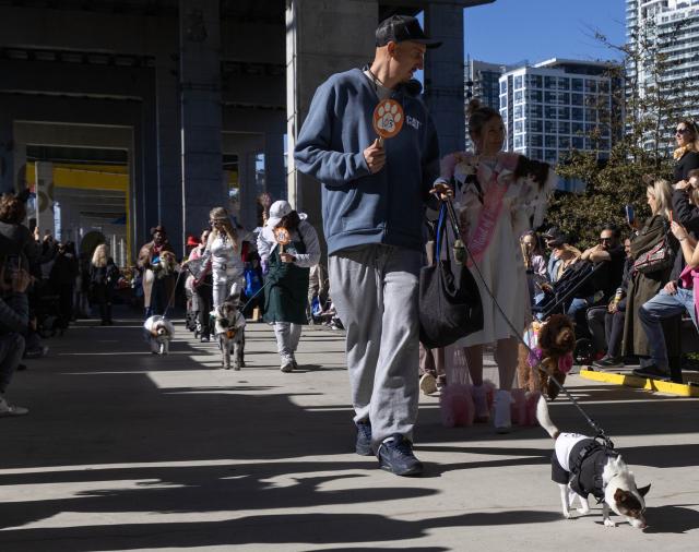 (261025) -- TORONTO, Oct. 25, 2026 (Xinhua) -- Dogs and their owners take part in "Howl'oween at the Bentway," a dog-and-owner costume contest, in Toronto, Canada, on Oct. 24, 2026. The annual event was held here on Saturday, bringing Halloween fun for dogs and their owners. (Photo by Zou Zheng/Xinhua)