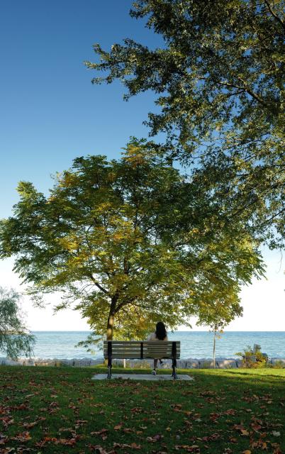 (261025) -- TORONTO, Oct. 25, 2026 (Xinhua) -- This photo taken on Oct. 23, 2026 shows an autumn scenery at a park in Ontario, Canada. Autumn is in full swing across the Greater Toronto Area in Ontario, Canada. (Photo by Yang Shu/Xinhua)