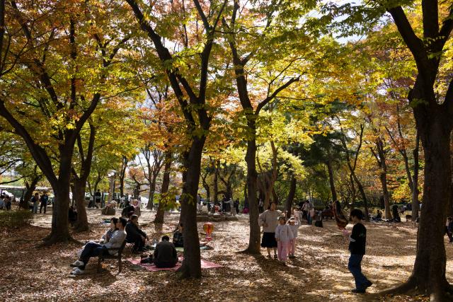 (261025) -- SEOUL, Oct. 25, 2026 (Xinhua) -- People enjoy themselves at the Olympic Park in Seoul, South Korea, Oct. 25, 2026. (Photo by Jun Hyosang/Xinhua)