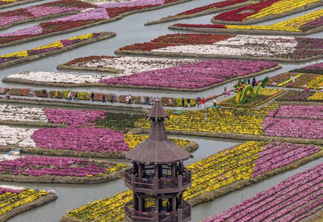 (261026) -- BEIJING, Oct. 26, 2026 (Xinhua) -- An aerial drone photo taken on Oct. 24, 2026 shows tourists viewing flowers at a scenic area in Xinghua City, east China's Jiangsu Province. (Photo by Zhou Shegen/Xinhua)