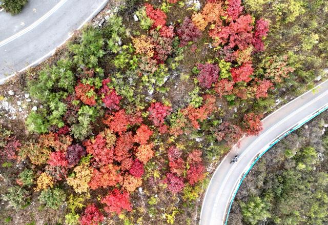 (261026) -- BEIJING, Oct. 26, 2026 (Xinhua) -- An aerial drone photo taken on Oct. 23, 2026 shows the autumn scenery of Yuntou Mountain in Zhangjiagou Village of Heshan District in Hebi City, central China's Henan Province. (Photo by Zhao Yongqiang/Xinhua)
