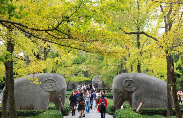 (261026) -- BEIJING, Oct. 26, 2026 (Xinhua) -- Tourists visit the imperial Xiaoling Mausoleum, the burial site of the Ming Dynasty's (1368-1644) founding emperor Zhu Yuanzhang, in Nanjing, east China's Jiangsu Province, Oct. 24, 2026. (Photo by Liu Jianhua/Xinhua)