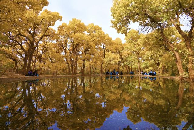 (261026) -- BEIJING, Oct. 26, 2026 (Xinhua) -- Tourists enjoy the scenery of populus euphratica forests in Mogao Town, Dunhuang City, northwest China's Gansu Province, Oct. 23, 2026. (Photo by Zhang Xiaoliang/Xinhua)