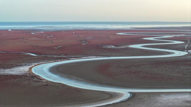 (261027) -- DONGYING, Oct. 27, 2026 (Xinhua) -- A drone photo taken on Oct. 25, 2026 shows the wetland in the Yellow River Delta National Nature Reserve in Dongying City, east China's Shandong Province. The Yellow River Delta is a key area for the conservation of migratory waterbirds along international flyways. Of the world's nine major migratory routes, two pass through this region. Millions of birds pass through each year, earning the delta a reputation as an "international airport" for avian travelers. (Xinhua/Zhu Zheng)