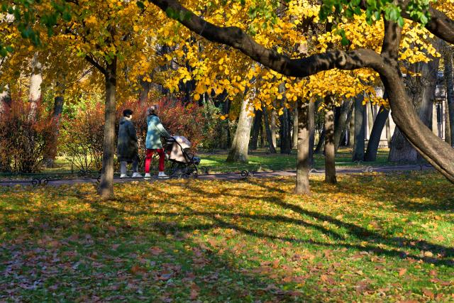 (261027) -- ST. PETERSBURG, Oct. 27, 2026 (Xinhua) -- This photo taken on Oct. 27, 2026 shows an autumn view of the Tauride Garden in St. Petersburg, Russia. (Photo by Guo Feizhou/Xinhua)