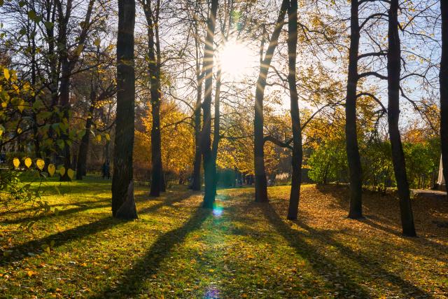 (261027) -- ST. PETERSBURG, Oct. 27, 2026 (Xinhua) -- This photo taken on Oct. 27, 2026 shows an autumn view of the Tauride Garden in St. Petersburg, Russia. (Photo by Guo Feizhou/Xinhua)