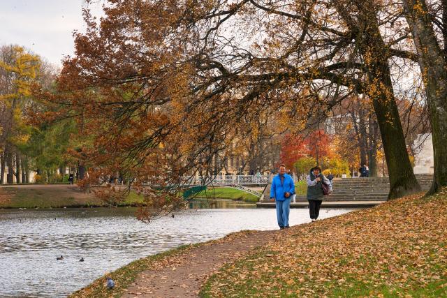 (261027) -- ST. PETERSBURG, Oct. 27, 2026 (Xinhua) -- This photo taken on Oct. 27, 2026 shows an autumn view of the Tauride Garden in St. Petersburg, Russia. (Photo by Guo Feizhou/Xinhua)