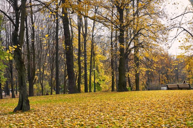 (261027) -- ST. PETERSBURG, Oct. 27, 2026 (Xinhua) -- This photo taken on Oct. 27, 2026 shows an autumn view of the Tauride Garden in St. Petersburg, Russia. (Photo by Guo Feizhou/Xinhua)