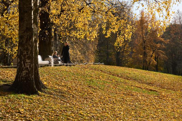 (261027) -- ST. PETERSBURG, Oct. 27, 2026 (Xinhua) -- This photo taken on Oct. 27, 2026 shows an autumn view of the Tauride Garden in St. Petersburg, Russia. (Photo by Guo Feizhou/Xinhua)