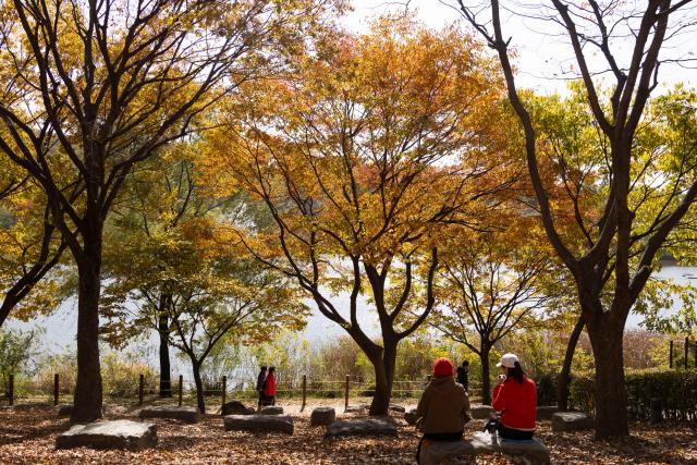 (261028) -- BEIJING, Oct. 28, 2026 (Xinhua) -- People enjoy themselves at a park in Incheon, South Korea, Oct. 27, 2026. (Photo by Jun Hyosang/Xinhua)