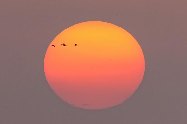 (261028) -- BEIJING, Oct. 28, 2026 (Xinhua) -- Migratory birds fly over the Yellow River Delta National Nature Reserve in Dongying City, east China's Shandong Province, Oct. 26, 2026. The Yellow River Delta is a key area for the conservation of migratory water birds along international flyways. Of the world's nine major migratory routes, two pass through this region. (Xinhua/Zhu Zheng)