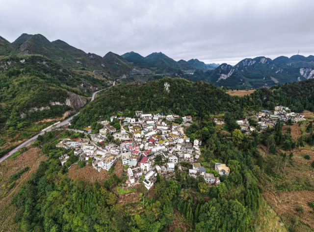 (261028) -- LIUPANSHUI, Oct. 28, 2026 (Xinhua) -- An aerial drone photo taken on Oct. 5, 2026 shows a view of Doujing Village of Shuicheng District in Liupanshui, southwest China's Guizhou Province. In recent years, Shuicheng District has promoted its local art by offering painting training courses, establishing copyright trading platforms, and boosting the development of cultural and creative products.
   Shuicheng farmers' paintings are known for their bright, vibrant colors and exaggerated forms. These paintings bearing witness to local changes have become a cultural driver for rural revitalization. Since 2021, Shuicheng farmers' paintings have been exhibited in more than 20 countries and regions, including Britain, Japan and Australia. (Xinhua/Yang Wenbin)