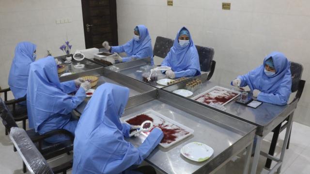 (261028) -- KABUL, Oct. 28, 2026 (Xinhua) -- Workers of Jahan Saffron select saffron for display at the 9th China International Import Expo (CIIE) in Herat Province, Afghanistan, Oct. 24, 2026. TO GO WITH "Feature: Afghan entrepreneurs look to China's annual import expo to unlock global markets" (Photo by Mashal/Xinhua)