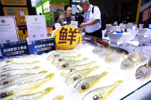 (261028) -- QINGDAO, Oct. 28, 2026 (Xinhua) -- A visitor talks with an exhibitor at the 29th China Fisheries & Seafood Expo in Qingdao, east China's Shandong Province, Oct. 28, 2026. The expo kicked off here on Wednesday, with an exhibition area of approximately 120,000 square meters, showcasing exhibits covering aquatic raw materials and processed products, aquaculture and processing technologies and equipment, and cold chain logistics facilities. The expo, which will last until Oct. 30, has attracted numerous domestic and international manufacturers and buyers to seek business opportunities. (Xinhua/Gao Jing)