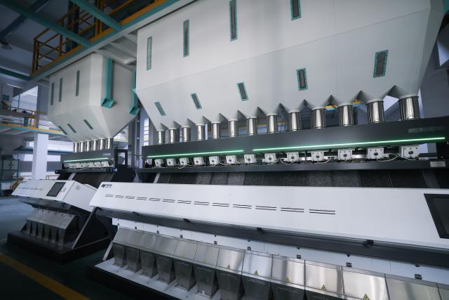 (261028) -- JIAXING, Oct. 28, 2026 (Xinhua) -- This photo taken on Oct. 28, 2026 shows automated equipment sorting rice at the workshop of a rice company in Yuxin Town, Nanhu District of Jiaxing City, east China's Zhejiang Province. Recently, 140,000 mu (about 9,333 hectares) of late rice in Nanhu District of Jiaxing City has entered the harvest season. Farmers are making the most of the fine weather to conduct rice harvest and process by using automated equipment. (Xinhua/Xu Yu)