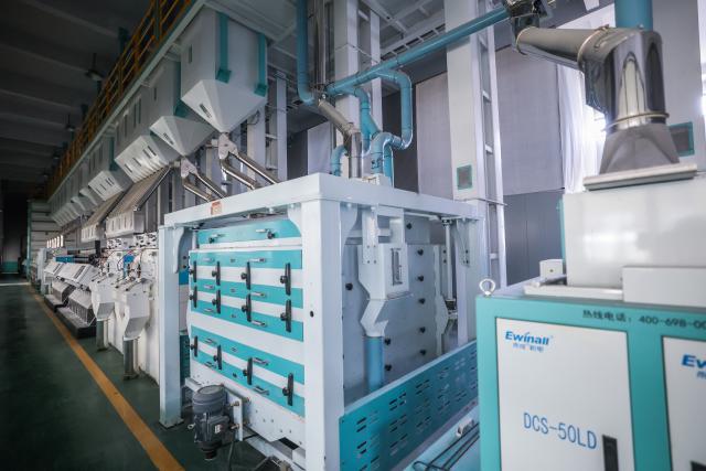 (261028) -- JIAXING, Oct. 28, 2026 (Xinhua) -- This photo taken on Oct. 28, 2026 shows automated equipment processing rice at the workshop of a rice company in Yuxin Town, Nanhu District of Jiaxing City, east China's Zhejiang Province. Recently, 140,000 mu (about 9,333 hectares) of late rice in Nanhu District of Jiaxing City has entered the harvest season. Farmers are making the most of the fine weather to conduct rice harvest and process by using automated equipment. (Xinhua/Xu Yu)