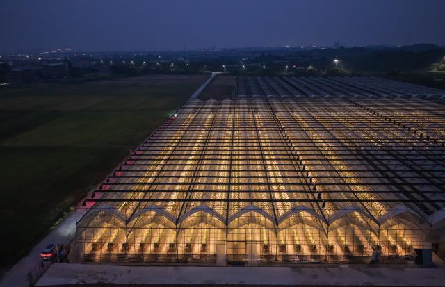 (261028) -- JINHUA, Oct. 28, 2026 (Xinhua) -- An aerial drone photo taken on Oct. 27, 2026 shows a night view of a smart greenhouse at an agricultural science and technology industrial park in Jindong District of Jinhua City, east China's Zhejiang Province. The agricultural science and technology industrial park was established in September 2023 as a designated benchmark project for modern agriculture in Jindong District of Jinhua City. 
   The park covers an area of 198.2 mu (about 13.2 hectares), including modern agricultural smart greenhouses, outdoor standardized planting areas, as well as supporting facilities such as water sources and parking lots. It aims to create an intelligent agricultural comprehensive industrial park integrating seedling research and development, ecological planting, deep processing, brand sales, tourism, and agricultural technology demonstration.
   The park has introduced specialty fruit and vegetable varieties of pineapples, dragon fruits, and blueberries to build a demonstration model for high-end tropical fruit and vegetable planting. It has revitalized the idle land resources in the area, optimized the regional agricultural industrial structure. (Xinhua/Xu Yu)