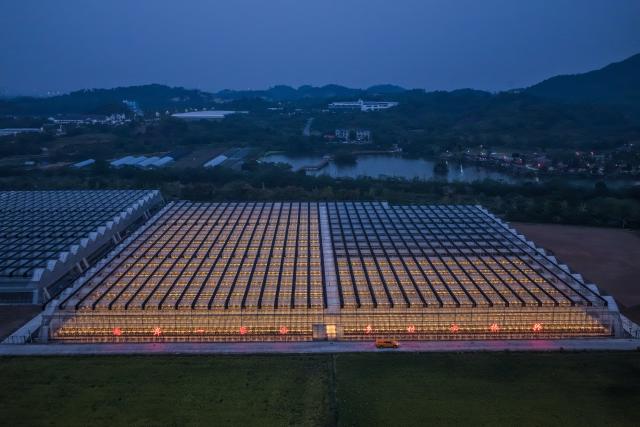 (261028) -- JINHUA, Oct. 28, 2026 (Xinhua) -- An aerial drone photo taken on Oct. 27, 2026 shows a night view of a smart greenhouse at an agricultural science and technology industrial park in Jindong District of Jinhua City, east China's Zhejiang Province. The agricultural science and technology industrial park was established in September 2023 as a designated benchmark project for modern agriculture in Jindong District of Jinhua City. 
   The park covers an area of 198.2 mu (about 13.2 hectares), including modern agricultural smart greenhouses, outdoor standardized planting areas, as well as supporting facilities such as water sources and parking lots. It aims to create an intelligent agricultural comprehensive industrial park integrating seedling research and development, ecological planting, deep processing, brand sales, tourism, and agricultural technology demonstration.
   The park has introduced specialty fruit and vegetable varieties of pineapples, dragon fruits, and blueberries to build a demonstration model for high-end tropical fruit and vegetable planting. It has revitalized the idle land resources in the area, optimized the regional agricultural industrial structure. (Xinhua/Xu Yu)
