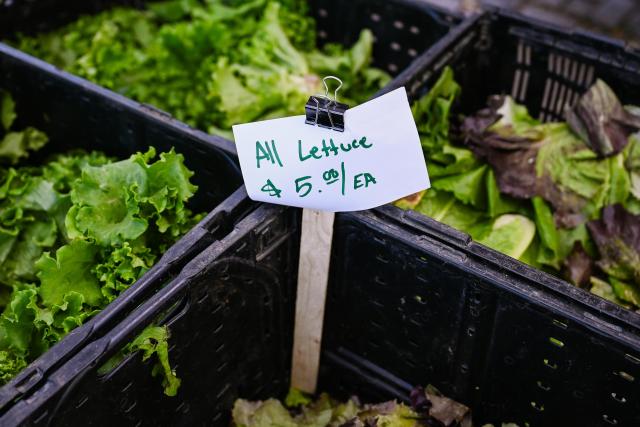 (261029) -- NEW YORK, Oct. 29, 2026 (Xinhua) -- A price tag is seen at a farmers' market in Queens, New York City, the United States, on Oct. 24, 2026. TO GO WITH "Feature: Rising living costs weigh on New Yorkers as midterms approach" (Photo by Ziyu Julian Zhu/Xinhua)