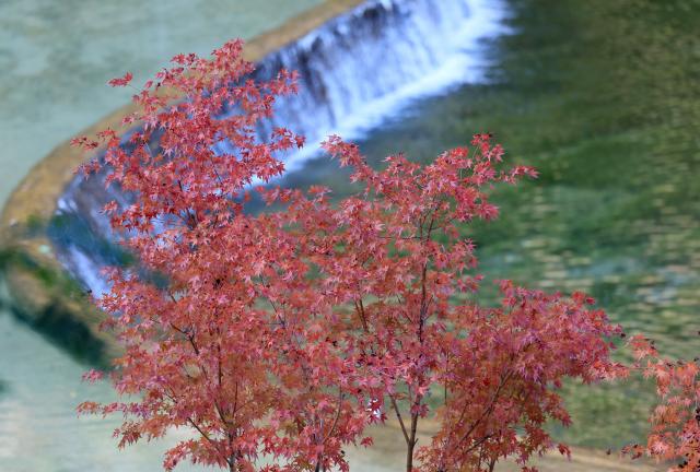 (261029) -- LANZHOU, Oct. 29, 2026 (Xinhua) -- This photo taken on Oct. 23, 2026 shows the autumn scenery in Longnan, northwest China's Gansu Province. (Photo by Ran Chuangchang/Xinhua)