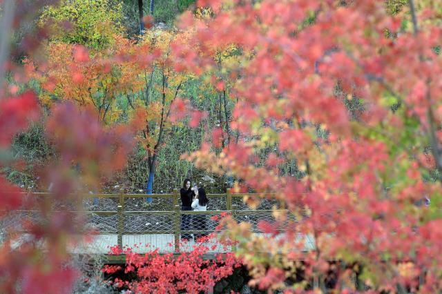 (261029) -- LANZHOU, Oct. 29, 2026 (Xinhua) -- Tourists have fun in Longnan, northwest China's Gansu Province, Oct. 23, 2026. (Photo by Ran Chuangchang/Xinhua)