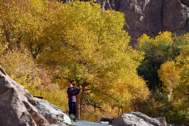 (261029) -- LANZHOU, Oct. 29, 2026 (Xinhua) -- A tourist takes photos at a scenic spot of the Xuanquanzhi Ruins scenic area in Dunhuang, northwest China's Gansu Province, Oct. 27, 2026. (Photo by Zhang Xiaoliang/Xinhua)