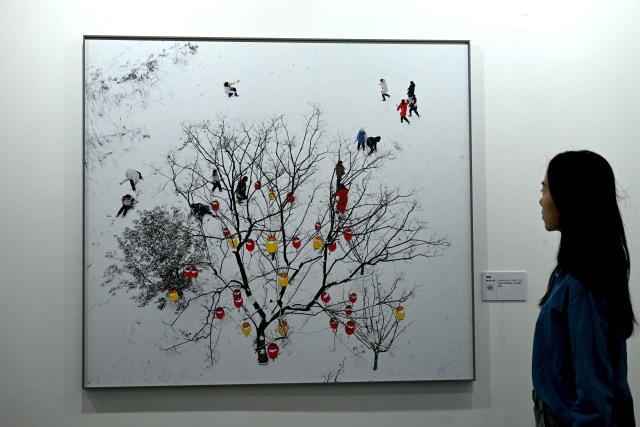 (261029) -- SANMENXIA, Oct. 29, 2026 (Xinhua) -- A visitor views a photo work at an exhibition during the 16th China Photography Festival in Sanmenxia City, central China's Henan Province, Oct. 29, 2026. The 16th China Photography Festival kicked off here on Thursday, featuring exhibitions covering a variety of themes, including documentary and art. (Xinhua/Zhu Xiang)