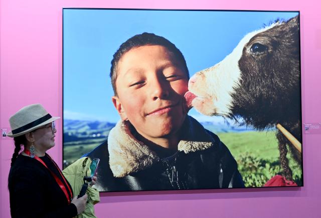 (261029) -- SANMENXIA, Oct. 29, 2026 (Xinhua) -- A visitor views a photo work at an exhibition during the 16th China Photography Festival in Sanmenxia City, central China's Henan Province, Oct. 29, 2026. The 16th China Photography Festival kicked off here on Thursday, featuring exhibitions covering a variety of themes, including documentary and art. (Xinhua/Zhu Xiang)