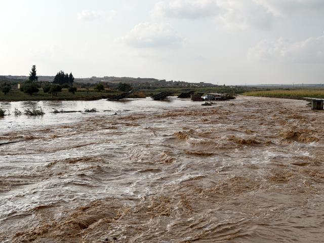 (261030) -- RAQQA, Oct. 30, 2026 (Xinhua) -- This photo taken with a mobile phone shows floodwater submerging vegetation near a waterway in Raqqa, Syria, Oct. 29, 2026. At least four people, including two children, have been reported dead amid heavy rainfall and flash floods across several Syrian provinces, while hundreds of families have been forced to leave displacement camps, local media and authorities said Thursday.
  TO GO WITH "At least 4 reported dead as floods sweep across Syria" (Str/Xinhua)