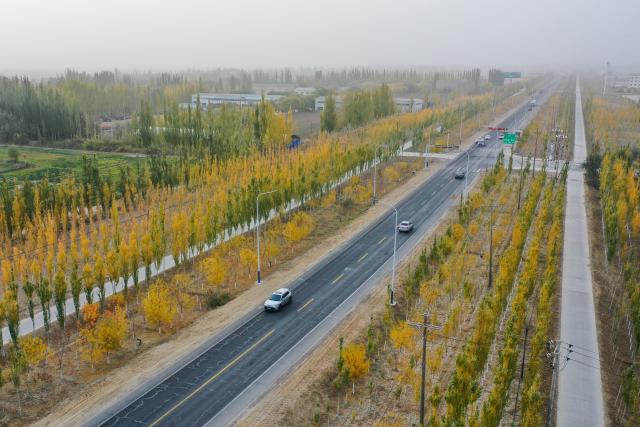 (261030) -- URUMQI, Oct. 30, 2026 (Xinhua) -- A drone photo taken on Oct. 28, 2026 shows trees planted along a road at Kakxal Village in Kashgar, northwest China's Xinjiang Uygur Autonomous Region.
  In recent years, various parts of Xinjiang have taken a range of measures to build ecological barriers in both urban and rural areas. While efforts are being coordinated to green barren land and restore wetlands, advanced technologies have been adopted to safeguard forests and grasslands. 
   These initiatives prove highly effective in securing and improving the ecosystem and biodiversity across the region. Specialty fruit planting and cultural tourism services are also burgeoning here. (Xinhua/Ding Lei)