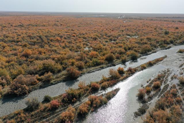 (261030) -- URUMQI, Oct. 30, 2026 (Xinhua) -- A drone photo taken on Oct. 26, 2026 shows vast expanses of tamarisk trees at Hoxud County, northwest China's Xinjiang Uygur Autonomous Region.
  In recent years, various parts of Xinjiang have taken a range of measures to build ecological barriers in both urban and rural areas. While efforts are being coordinated to green barren land and restore wetlands, advanced technologies have been adopted to safeguard forests and grasslands. 
   These initiatives prove highly effective in securing and improving the ecosystem and biodiversity across the region. Specialty fruit planting and cultural tourism services are also burgeoning here. (Xinhua/Ding Lei)