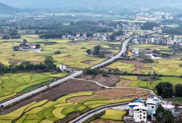 (261030) -- LIUZHOU, Oct. 30, 2026 (Xinhua) -- An aerial drone photo taken on Oct. 30, 2026 shows the rural autumn scenery in Xingui Village of Rong'an County, Liuzhou City, south China's Guangxi Zhuang Autonomous Region. Currently, late rice in Rong'an County is entering its harvest season. The rural fields are dyed in autumn colors. (Xinhua/Huang Xiaobang)