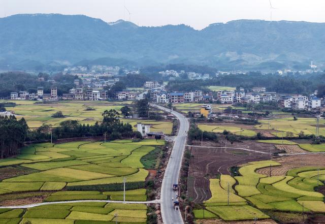 (261030) -- LIUZHOU, Oct. 30, 2026 (Xinhua) -- An aerial drone photo taken on Oct. 30, 2026 shows the rural autumn scenery in Xingui Village of Rong'an County, Liuzhou City, south China's Guangxi Zhuang Autonomous Region. Currently, late rice in Rong'an County is entering its harvest season. The rural fields are dyed in autumn colors. (Xinhua/Huang Xiaobang)