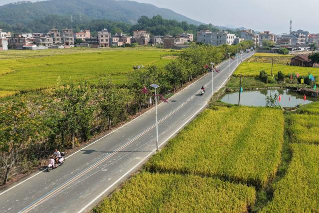 (261030) -- XINGYE, Oct. 30, 2026 (Xinhua) -- A drone photo taken on Oct. 30, 2026 shows a paved road and solar streetlights in Kuilian Village of Xingye County, Yulin City, south China's Guangxi Zhuang Autonomous Region. Since the beginning of this year, Xingye County has been implementing a "six improvements" program in villages, focusing on the practical improvements in manufacturing, agricultural industry, green space, road access, water facilities, and streetlights. These measures are creating fresh momentum for rural revitalization. (Xinhua/Cao Yiming)