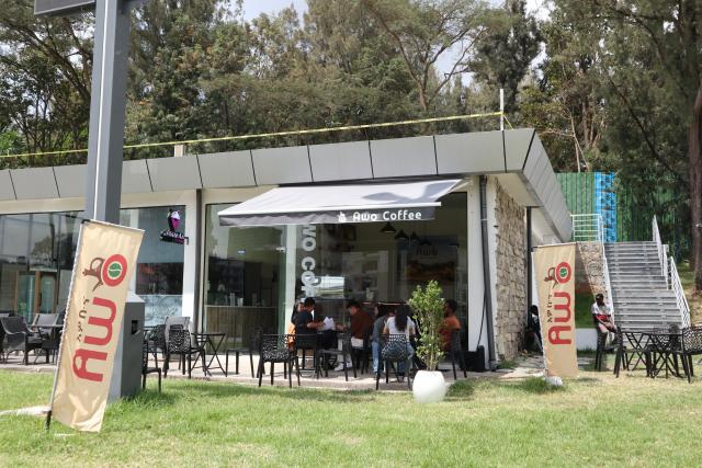 (261030) -- ADDIS ABABA, Oct. 30, 2026 (Xinhua) -- People enjoy coffee at an AWO coffee shop in Addis Ababa, Ethiopia on Oct. 24, 2026. As the 9th China International Import Expo (CIIE) approaches, executives of Ethiopian coffee company AWO Coffee are making final preparations for the event, seeking to tap the potential of China's fast-growing coffee market.
   TO GO WITH "Feature: Ethiopian coffee firm eyes greater opportunities in China through CIIE" (Xinhua/Liu Fangqiang)
