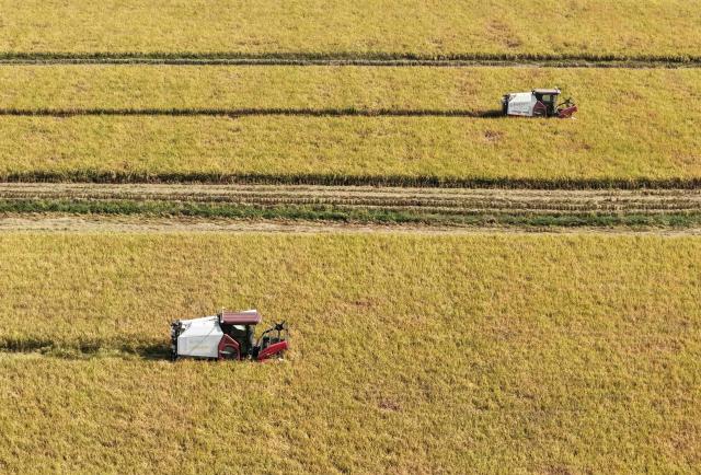 (261030) -- DONGYUAN, Oct. 30, 2026 (Xinhua) -- A drone photo taken on Oct. 30, 2026 shows unmanned harvesters working in fields on an intelligent farm in Liucheng Town of Dongyuan County, south China's Guangdong Province.
  A group of unmanned agricultural machinery developed by a Chinese research team from the country's South China Agricultural University conducted live field demonstrations here on Friday, showcasing a new model for modern smart agriculture. (Xinhua/Deng Hua)