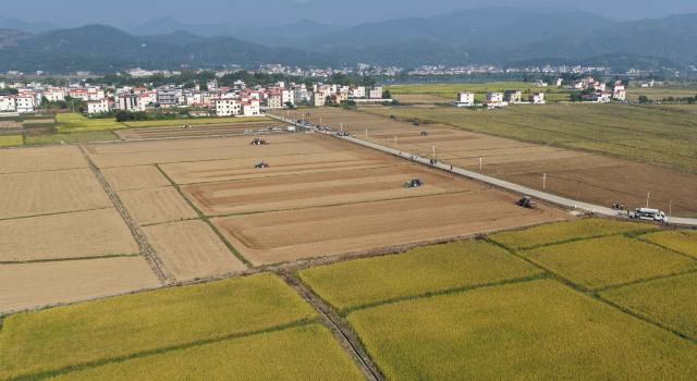 (261030) -- DONGYUAN, Oct. 30, 2026 (Xinhua) -- A drone photo taken on Oct. 30, 2026 shows unmanned agricultural machines plowing the field along preset routes on an intelligent farm in Liucheng Town of Dongyuan County, south China's Guangdong Province.
  A group of unmanned agricultural machinery developed by a Chinese research team from the country's South China Agricultural University conducted live field demonstrations here on Friday, showcasing a new model for modern smart agriculture. (Xinhua/Deng Hua)