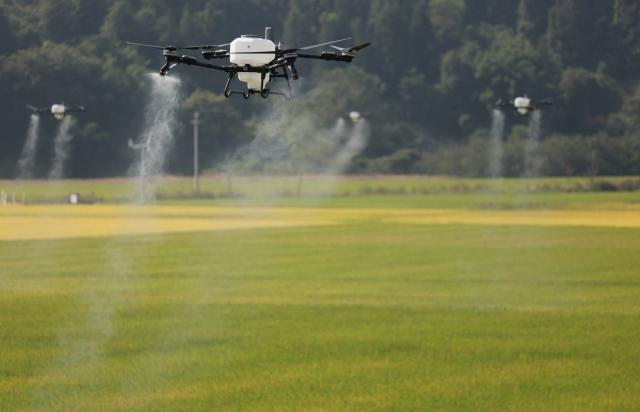 (261030) -- DONGYUAN, Oct. 30, 2026 (Xinhua) -- Agricultural drones carry out spraying operations on an intelligent farm in Liucheng Town of Dongyuan County, south China's Guangdong Province, Oct. 30, 2026.
  A group of unmanned agricultural machinery developed by a Chinese research team from the country's South China Agricultural University conducted live field demonstrations here on Friday, showcasing a new model for modern smart agriculture. (Xinhua/Deng Hua)