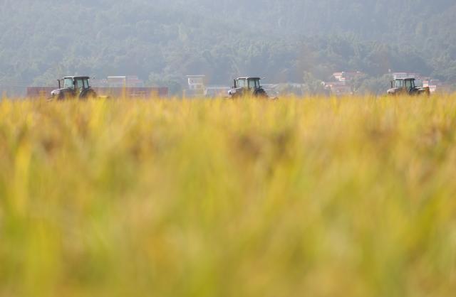 (261030) -- DONGYUAN, Oct. 30, 2026 (Xinhua) -- Unmanned agricultural machines move amid rice fields on an intelligent farm in Liucheng Town of Dongyuan County, south China's Guangdong Province, Oct. 30, 2026.
  A group of unmanned agricultural machinery developed by a Chinese research team from the country's South China Agricultural University conducted live field demonstrations here on Friday, showcasing a new model for modern smart agriculture. (Xinhua/Deng Hua)