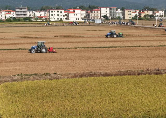 (261030) -- DONGYUAN, Oct. 30, 2026 (Xinhua) -- A drone photo taken on Oct. 30, 2026 shows unmanned agricultural machines plowing the field along preset routes on an intelligent farm in Liucheng Town of Dongyuan County, south China's Guangdong Province.
  A group of unmanned agricultural machinery developed by a Chinese research team from the country's South China Agricultural University conducted live field demonstrations here on Friday, showcasing a new model for modern smart agriculture. (Xinhua/Deng Hua)