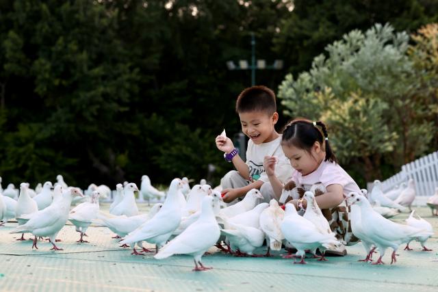 (261030) -- FUZHOU, Oct. 30, 2026 (Xinhua) -- Children feed pigeons at an urban square in Fuzhou, southeast China's Fujian Province, Oct. 1, 2026. Fuzhou, located on the coast of the East China Sea and the banks of the Minjiang River, is a renowned historical city with a history of over 2,200 years. Relying on its natural endowments and cultural heritage, Fuzhou has coordinated urban renewal, ecological governance, cultural heritage preservation and other aspects to promote high-quality and sustainable urban development. (Xinhua/Jiang Kehong)