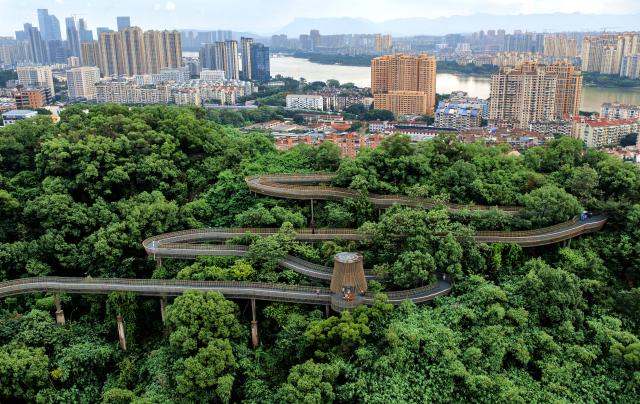 (261030) -- FUZHOU, Oct. 30, 2026 (Xinhua) -- An aerial drone photo taken on Oct. 28, 2026 shows the sight-seeing footpath in Jinniu Mountain in Fuzhou City, southeast China's Fujian Province. Fuzhou, located on the coast of the East China Sea and the banks of the Minjiang River, is a renowned historical city with a history of over 2,200 years. Relying on its natural endowments and cultural heritage, Fuzhou has coordinated urban renewal, ecological governance, cultural heritage preservation and other aspects to promote high-quality and sustainable urban development. (Xinhua/Wei Peiquan)
