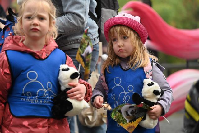 (261030) -- RHENEN, Oct. 30, 2026 (Xinhua) -- Children attend a farewell ceremony for giant panda Lang Yue at the Ouwehands Zoo in Rhenen, the Netherlands, Oct. 30, 2026. TO GO WITH "Feature: 'One day, I want to visit her in China' -- Dutch visitors see off giant panda Lang Yue" (Xinhua/Lyu You)
