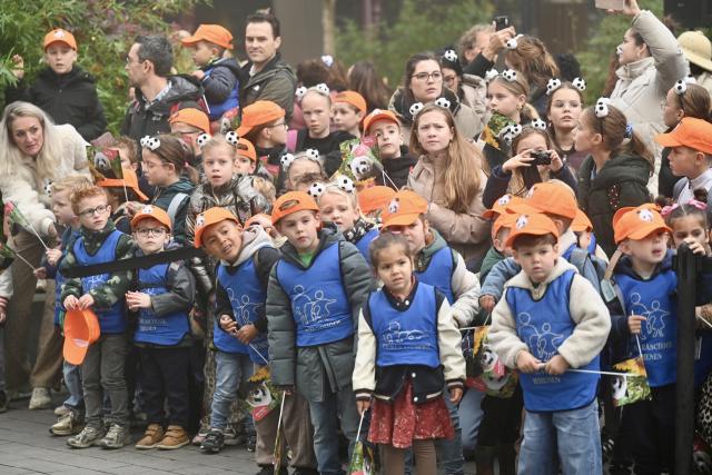 (261030) -- RHENEN, Oct. 30, 2026 (Xinhua) -- People see a vehicle carrying giant panda Lang Yue off at the Ouwehands Zoo in Rhenen, the Netherlands, Oct. 30, 2026. TO GO WITH "Feature: 'One day, I want to visit her in China' -- Dutch visitors see off giant panda Lang Yue" (Xinhua/Lyu You)