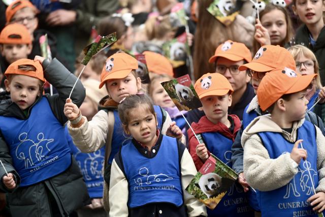 (261030) -- RHENEN, Oct. 30, 2026 (Xinhua) -- Children see a vehicle carrying giant panda Lang Yue off at the Ouwehands Zoo in Rhenen, the Netherlands, Oct. 30, 2026. TO GO WITH "Feature: 'One day, I want to visit her in China' -- Dutch visitors see off giant panda Lang Yue" (Xinhua/Lyu You)