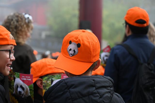 (261030) -- RHENEN, Oct. 30, 2026 (Xinhua) -- A child wearing hat bearing image of giant panda attend a farewell ceremony for giant panda Lang Yue at the Ouwehands Zoo in Rhenen, the Netherlands, Oct. 30, 2026. TO GO WITH "Feature: 'One day, I want to visit her in China' -- Dutch visitors see off giant panda Lang Yue" (Xinhua/Lyu You)