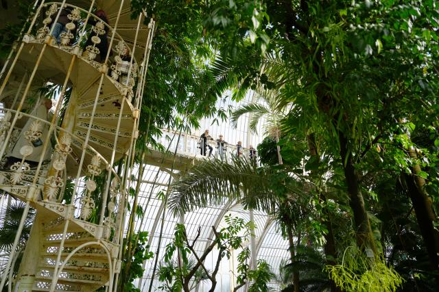 (261031) -- LONDON, Oct. 31, 2026 (Xinhua) -- This photo taken on Oct. 17, 2026 shows Kew's Palm House in London, Britain. TO GO WITH "Feature: Visiting Kew through lens of biodiversity conservation" (Xinhua/Zhang Feng)